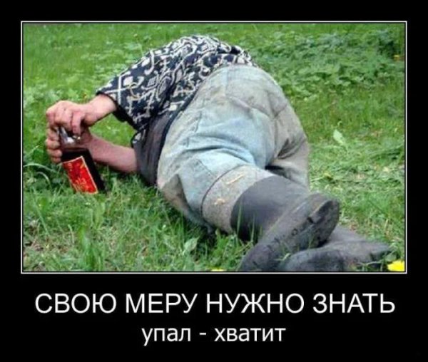 алкаши смешные