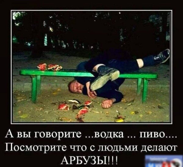 приколы с водкой и пивом