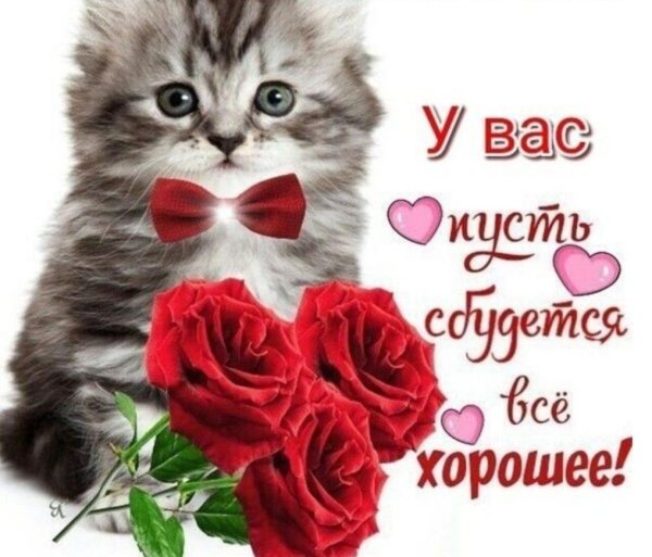 Доброе утро леночка