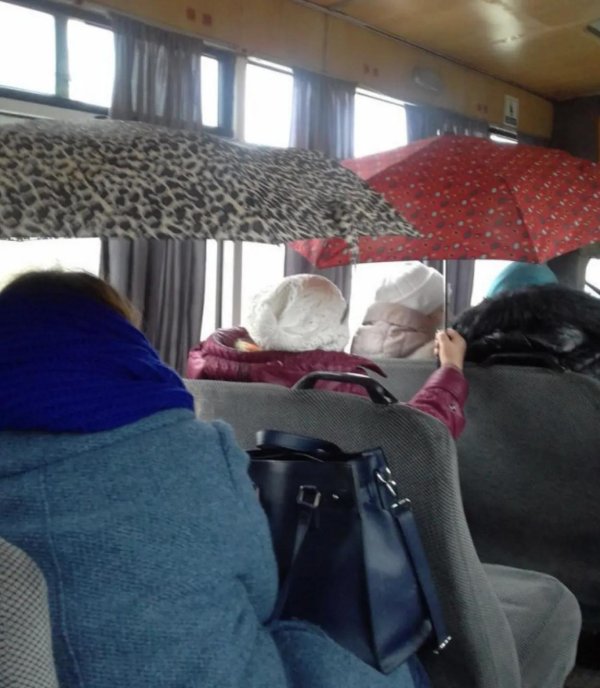 Утро в автобусе