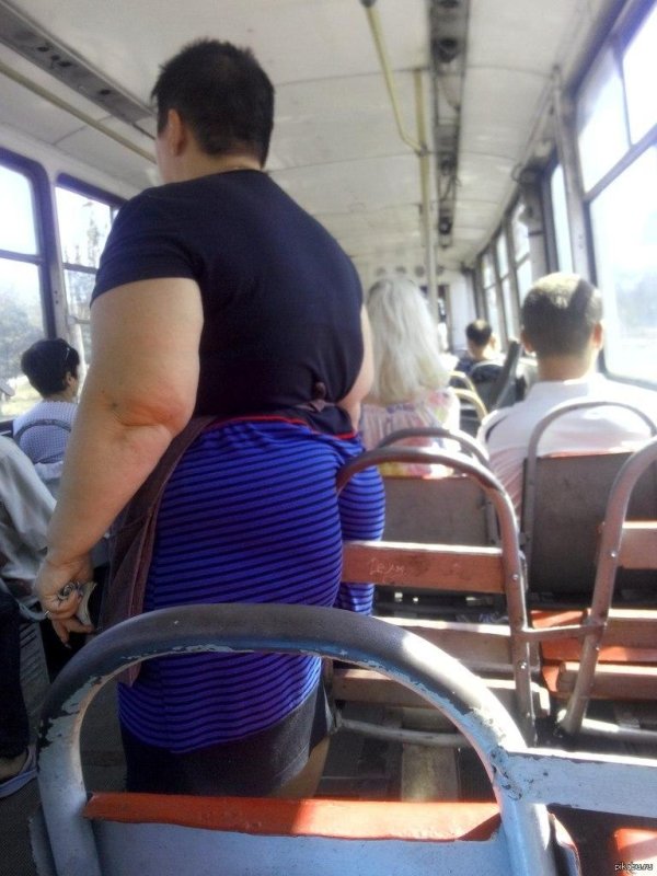 попы в общественном транспорте