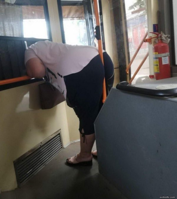 попы в общественном транспорте