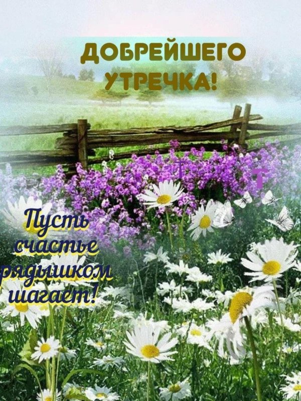 Доброе утро природа