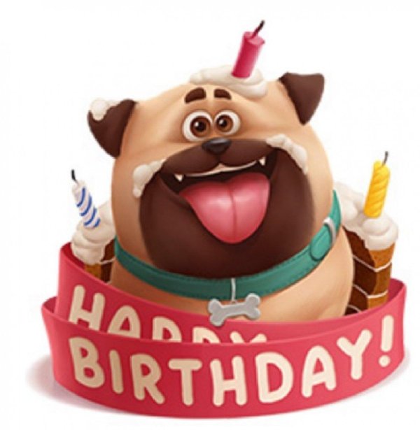 тайная жизнь домашних животных 2