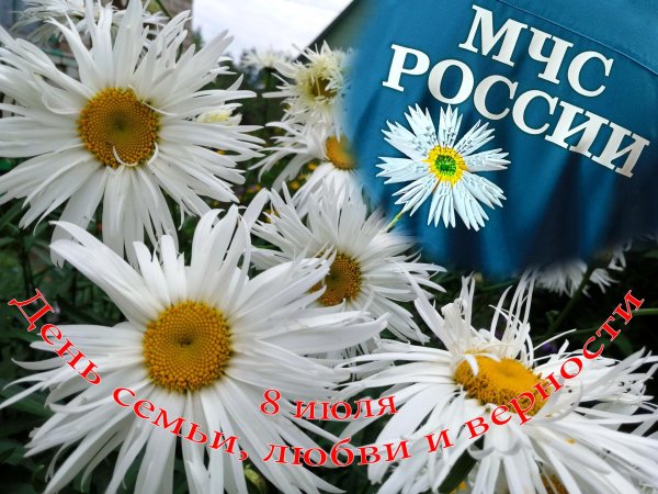 с день семьи любви и верности