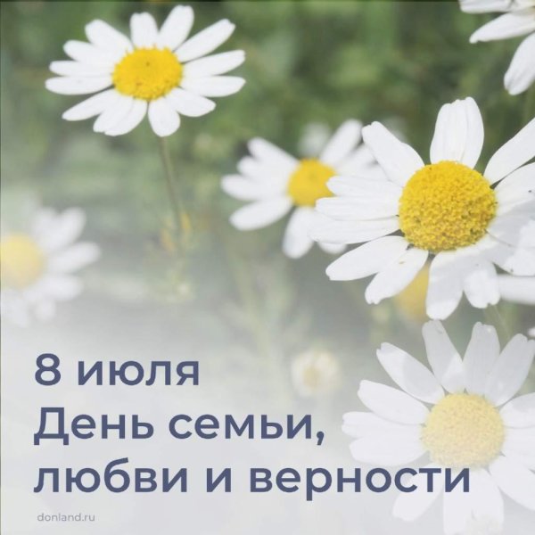 День семьи любви и верности с синяком