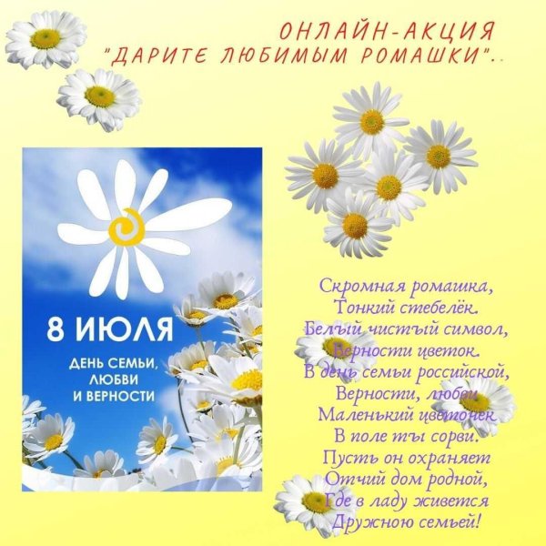ромашка символ дня семьи любви и верности
