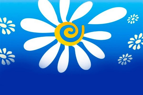 ромашка символ праздника семьи любви и верности