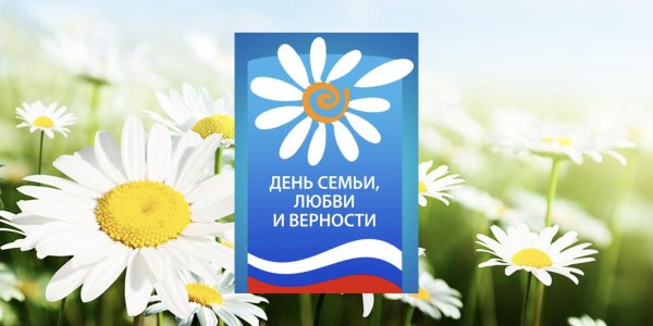 ромашка символ дня семьи любви и верности