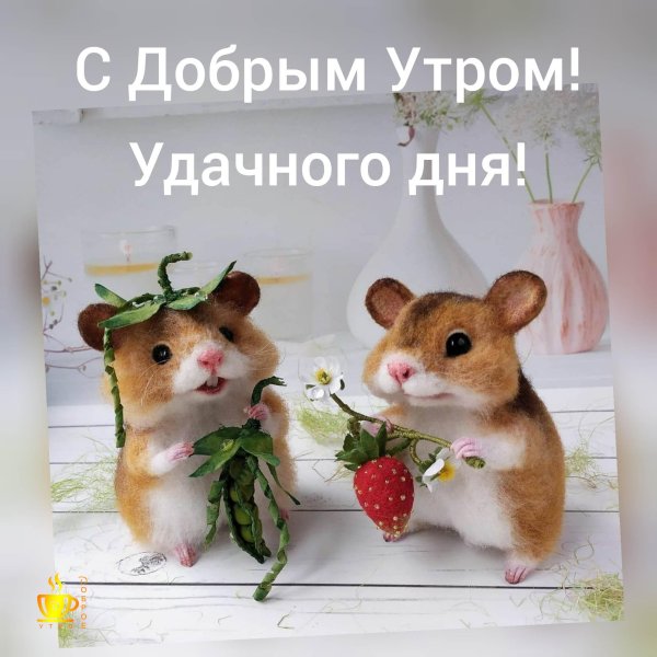 доброе утро зверюшки