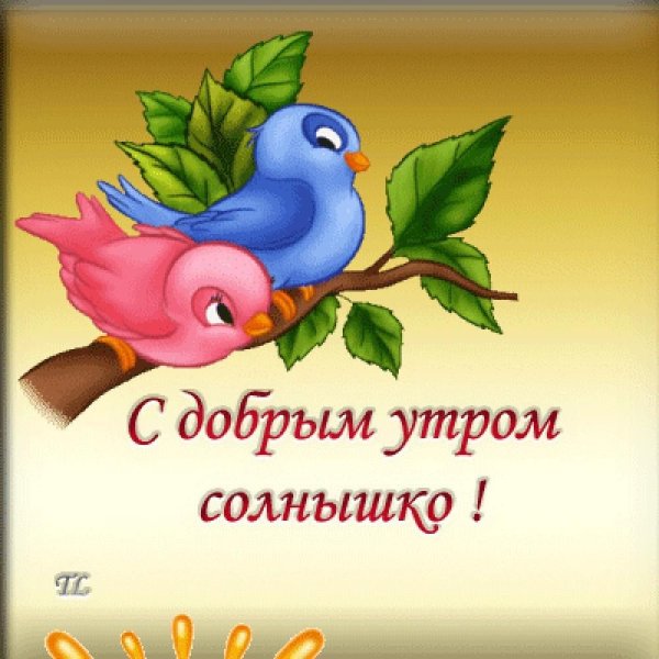 сдобрым утромсолнышка