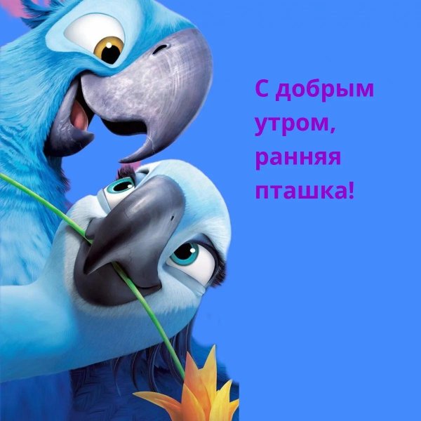доброе утро ранняя пташка