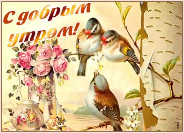 старинные открытки с добрым утром