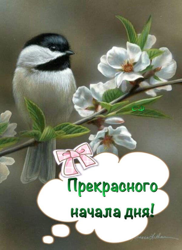 птичка на ветке