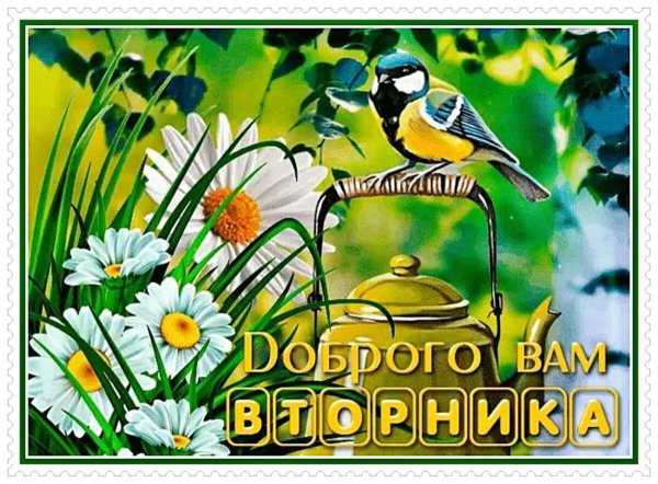 добрейшего вторника