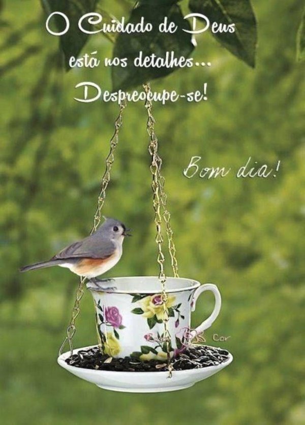 оригинальная кормушка для птиц