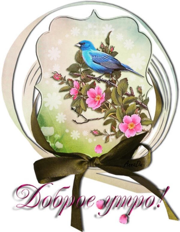 пожелания доброго утра с птичками