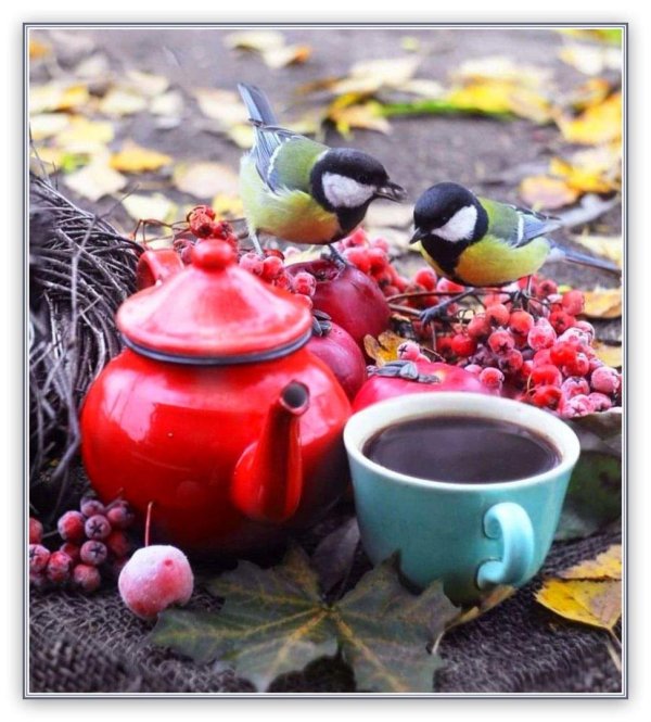 с добрым осеннем утром