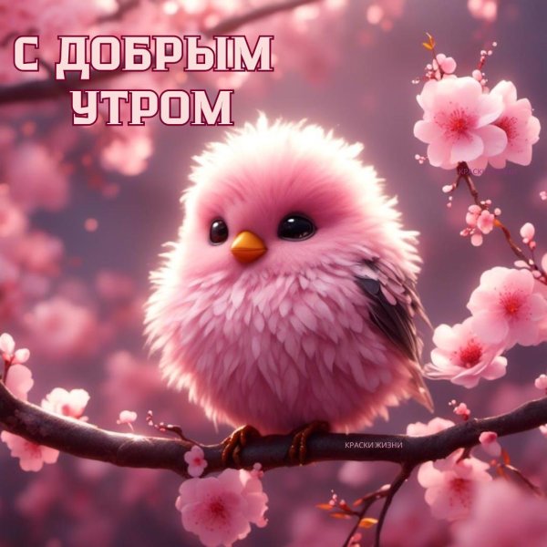 с добрым утром весенние красивые