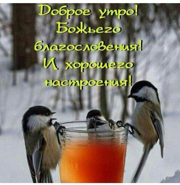 зимнего утра доброго