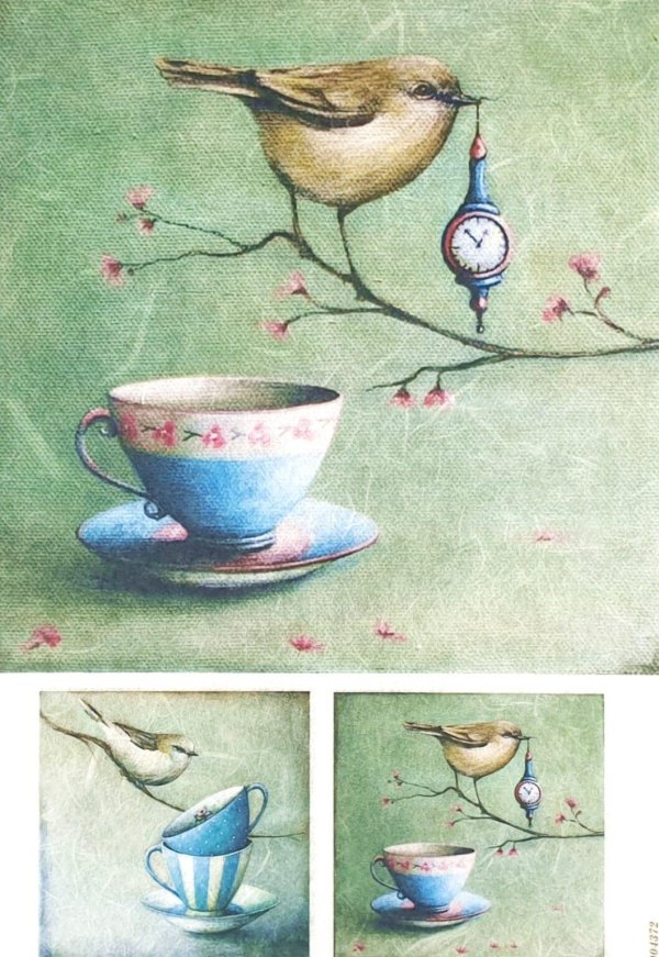 живопись птицы