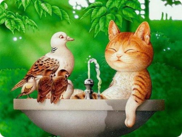 макото мурамацу