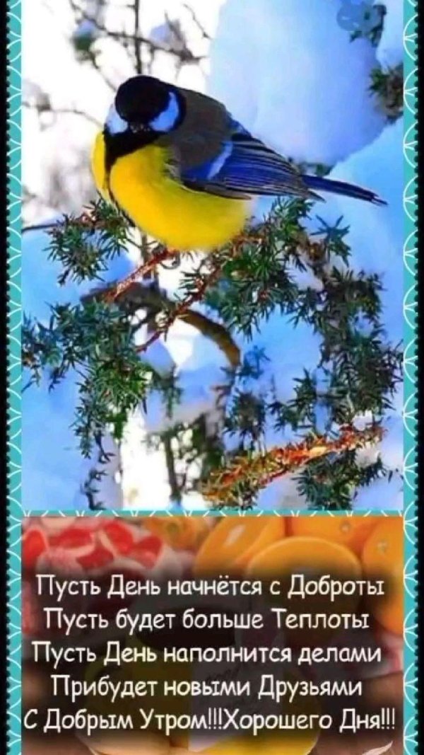 доброго утра зимнего