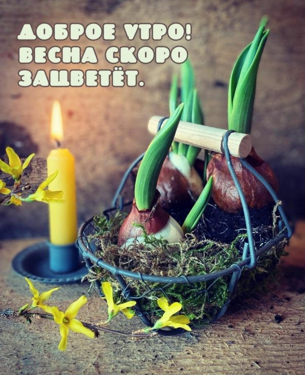 добрейшего весеннего утра