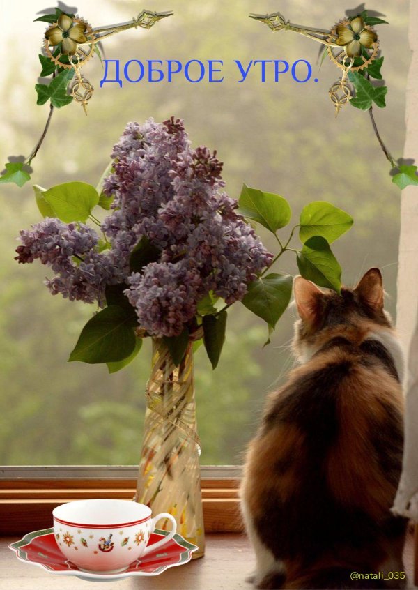 доброго мартовского утра