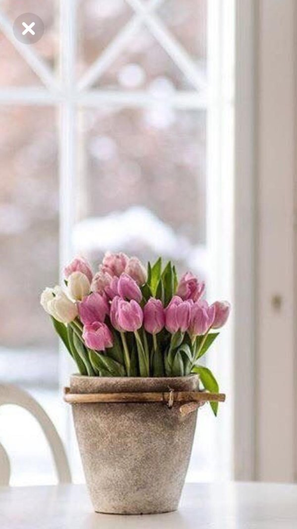 добрый весенний день