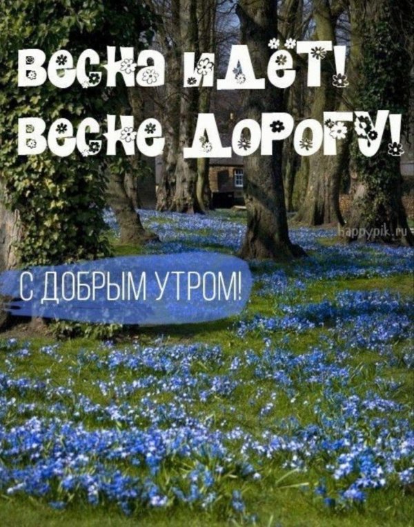 доброе утро ранней весной