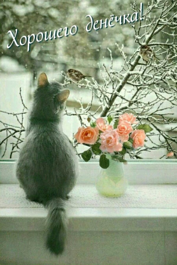 теплого утра