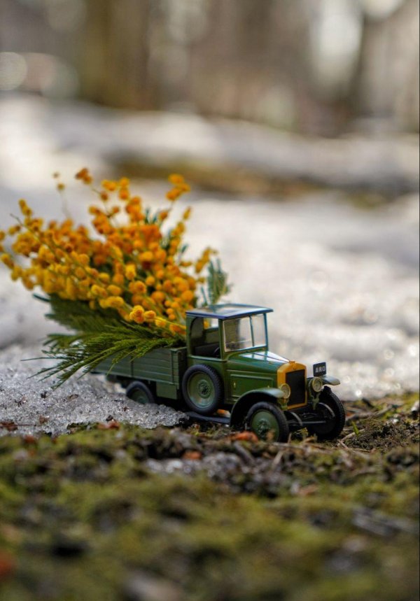 игрушечные грузовики