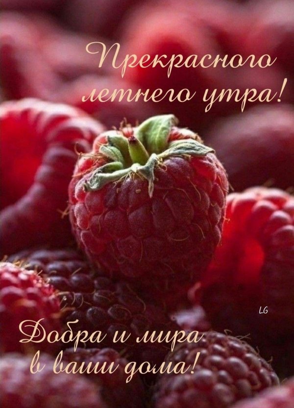 летнего утра