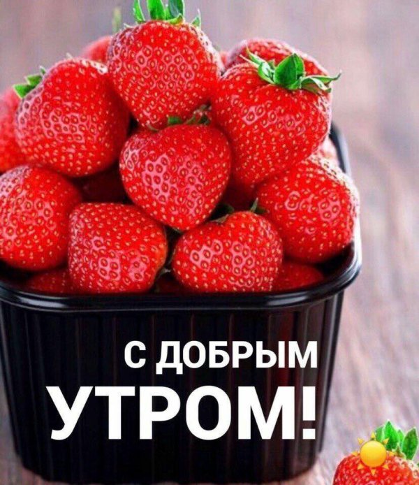 клубника сорт