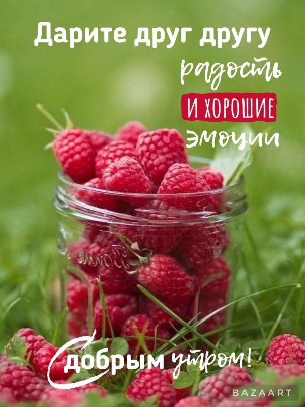 лето ягоды