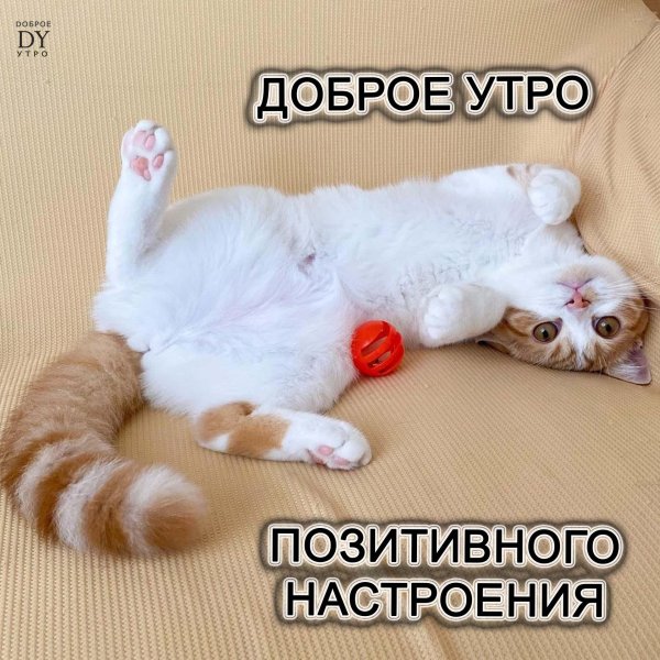 добра утра