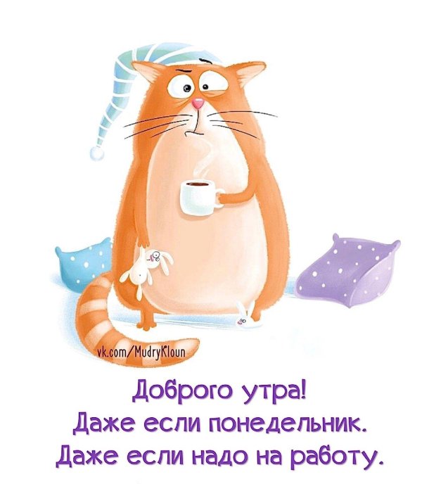 доброе утро понедельника смешные