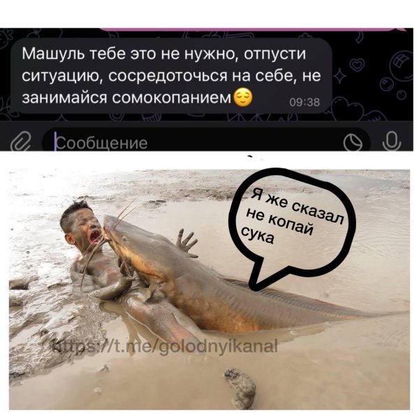 рыба сом