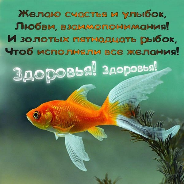золотая рыбка исполняет желания
