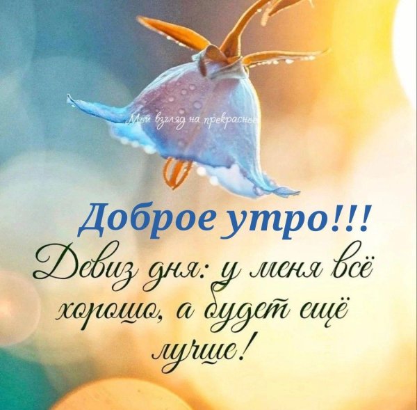доброе утро философская