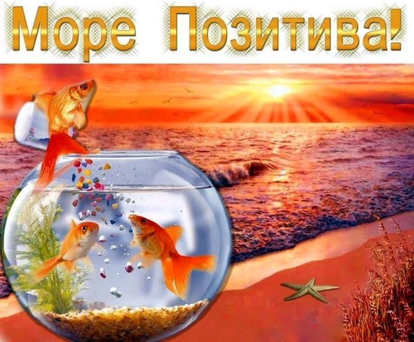 море позитива
