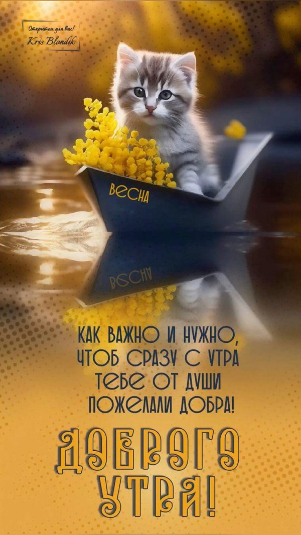 добра утра