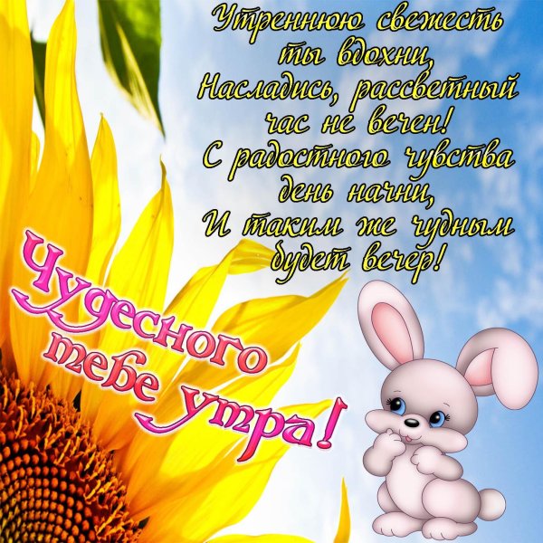 Доброе утро солнышко красивые