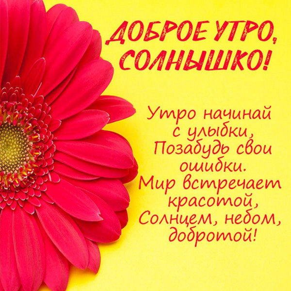 доброе утречко солнышко