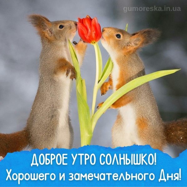 добрейшего весеннего утра