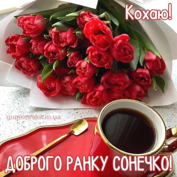 добрий ранок