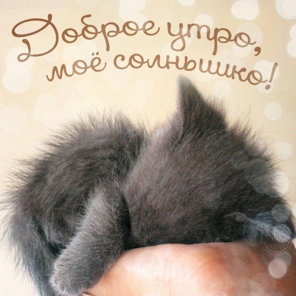 доброго утра солнышко