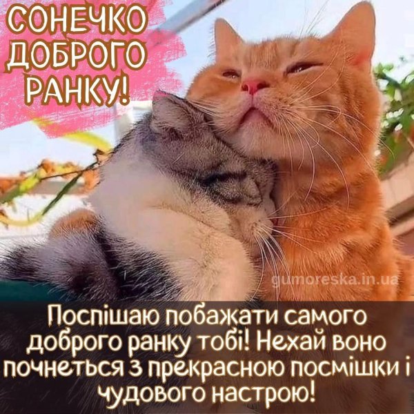 доброго ранку