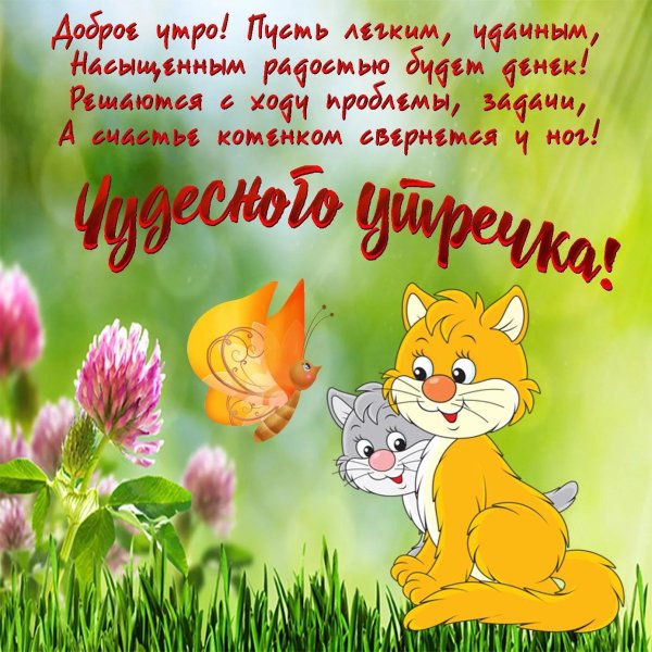 открытки с добрым утром прикольные